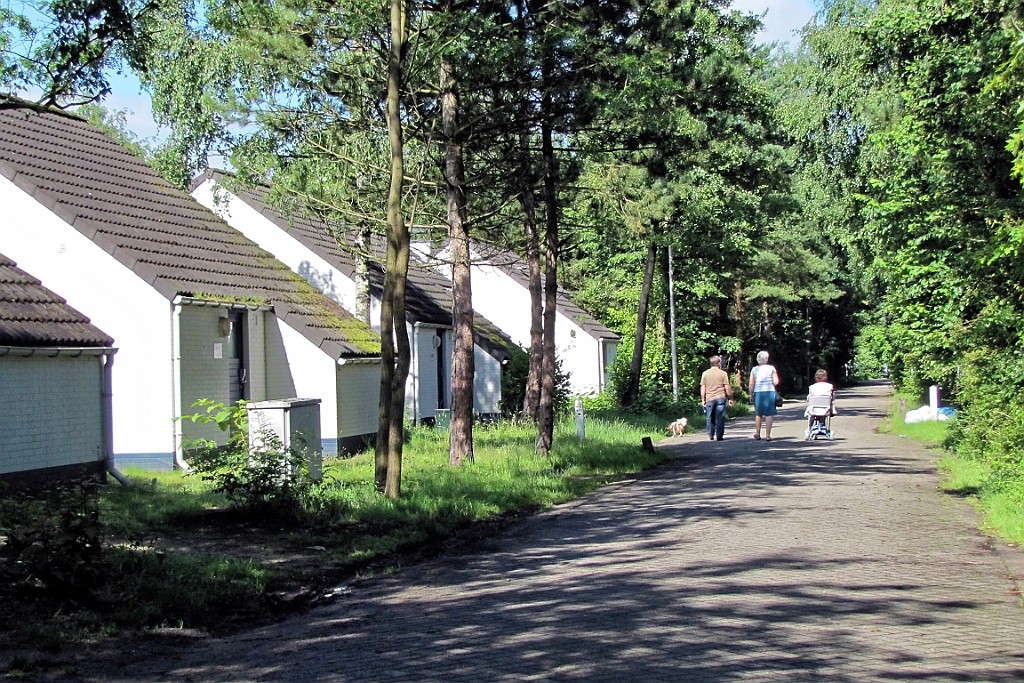 SP062016 (19).jpg